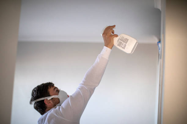 Best Residential Mold Remediation in Fletcher, OK