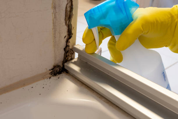 Best Mold Remediation for Specific Building Types in Fletcher, OK