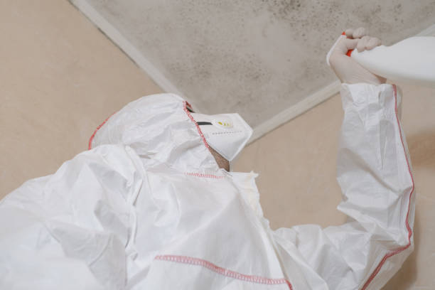 Best Residential Mold Remediation in Fletcher, OK