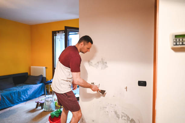 Best Insurance-Related Mold Remediation in Fletcher, OK