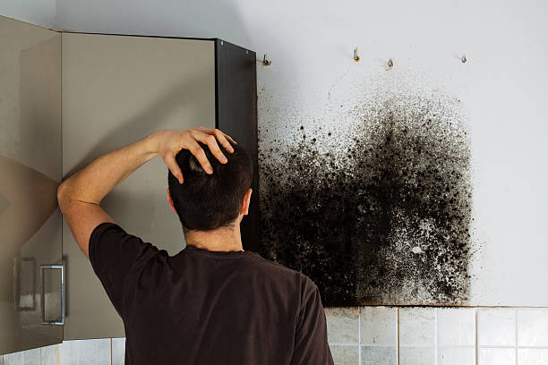 Best Health and Safety Mold Remediation in Fletcher, OK